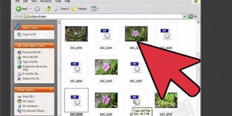 Apri i file nef in photoshop