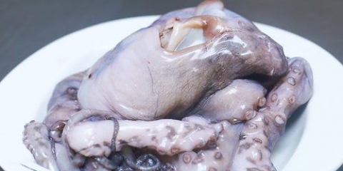 Prepara il polpo