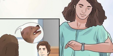 Trattare con il cane che abbaia del vicino