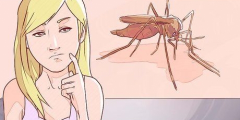 Distinguere tra malaria, dengue e chikungunya