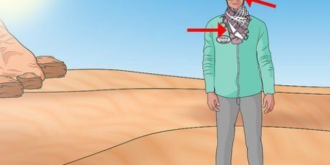Sopravvivenza nel deserto