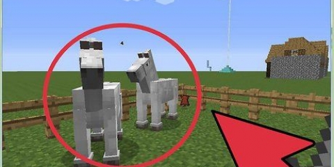 Allevare cavalli in minecraft