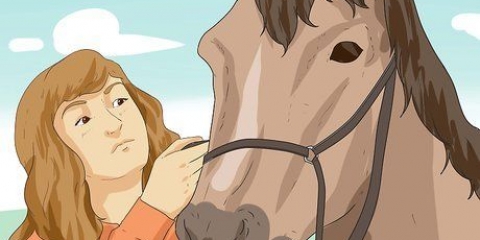 Equitazione