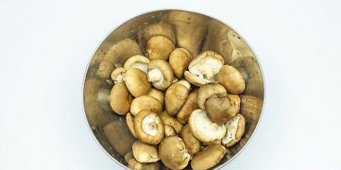 Conservazione dei funghi