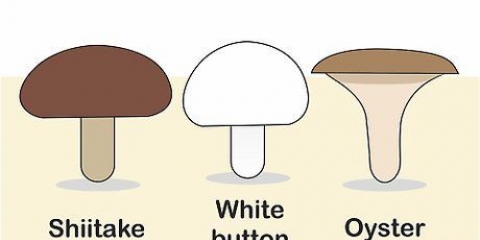 Coltivare funghi al chiuso