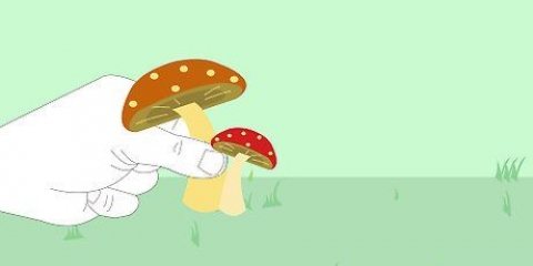 Uccidere i funghi