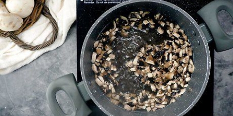 Congelare i funghi