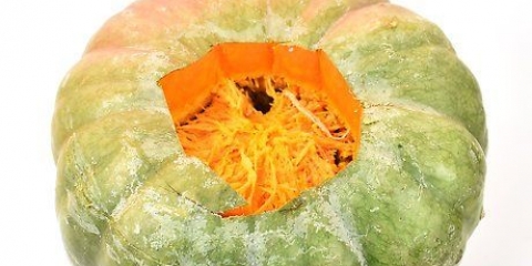 Semi di zucca arrostiti