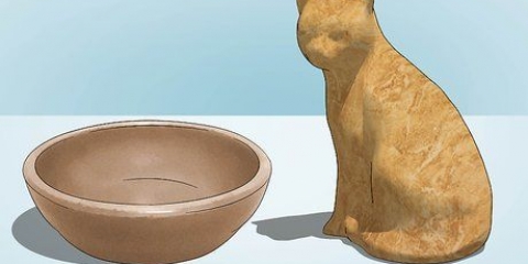 Ceramica
