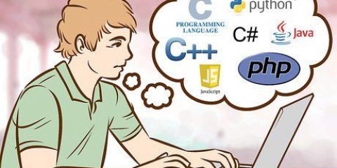 Programmazione al computer