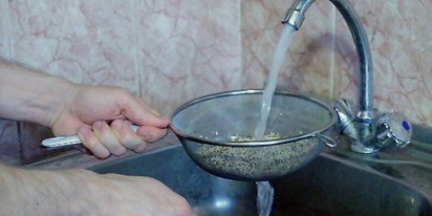 Cottura della quinoa in una pentola per riso