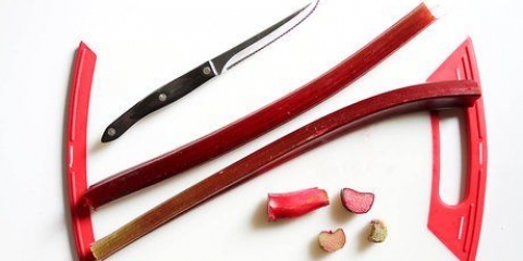 Cucinare il rabarbaro