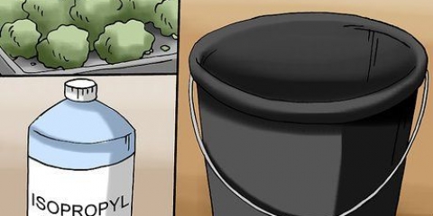 Olio di rick simpson