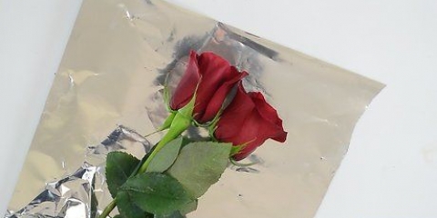 Mantenere le rose fresche