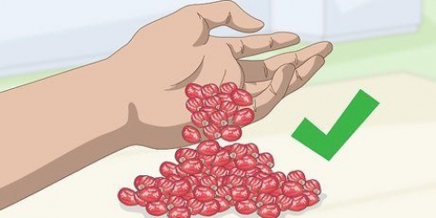 Fare l'olio di rosa canina