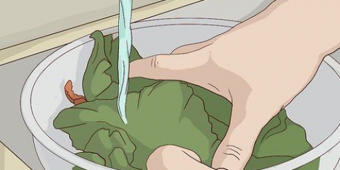 Mantieni l'insalata fresca