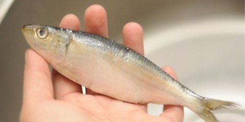 Preparare le sardine
