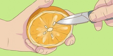 Semi d'arancia in germinazione