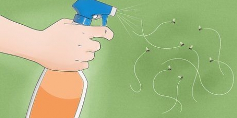 Uccidi rapidamente una mosca