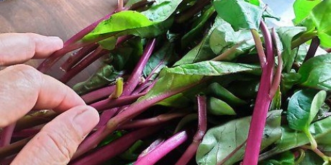 Preparazione e cottura delle bietole
