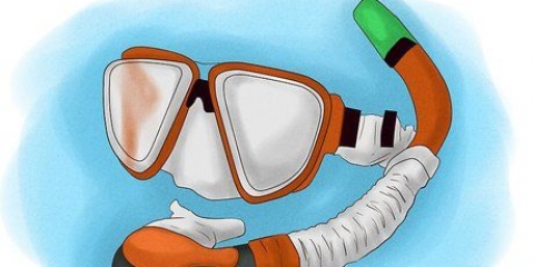 Snorkeling