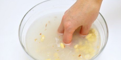 Preparazione della soia