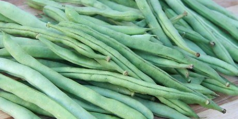 Congelare i fagiolini