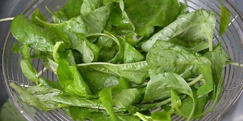 Preparare gli spinaci