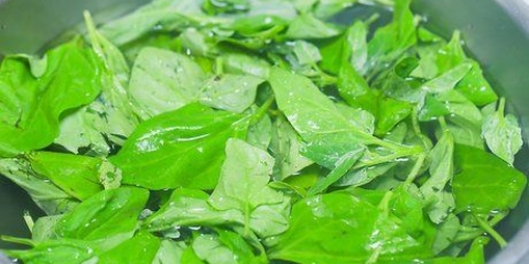 Congelare gli spinaci
