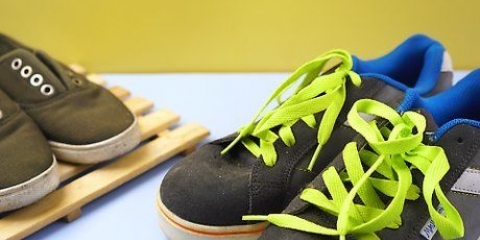 Rinfresca le scarpe puzzolenti