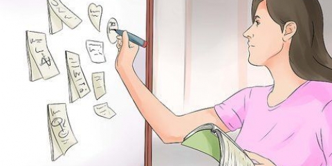 Crea guide di studio