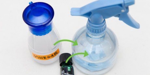Olio di melaleuca diluito
