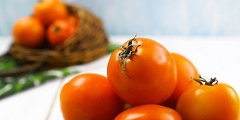 Fare il succo di pomodoro
