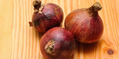 Cipolle secche