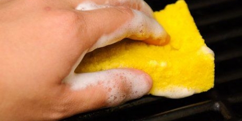Cipolle alla griglia