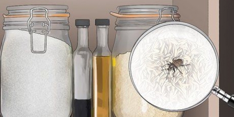 Sbarazzati dei parassiti della cucina