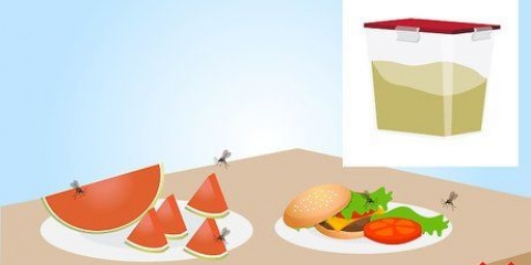 Sbarazzati dei moscerini in cucina