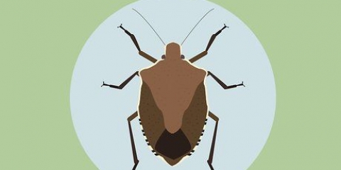 Sbarazzati dei bug dello scudo