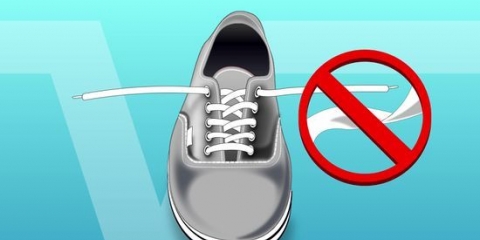 Stringate le scarpe vans