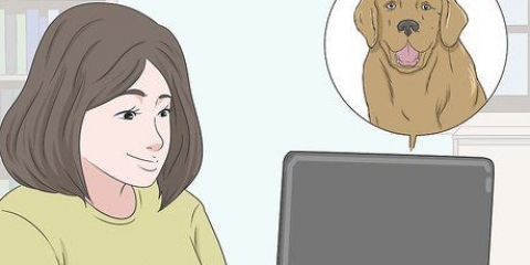 Comprare un cucciolo in sicurezza online