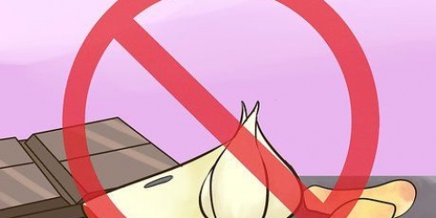 Prevenire l'avvelenamento da criceti