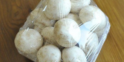 Conservazione dei funghi freschi