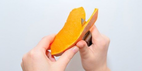 Zucca fresca congelata