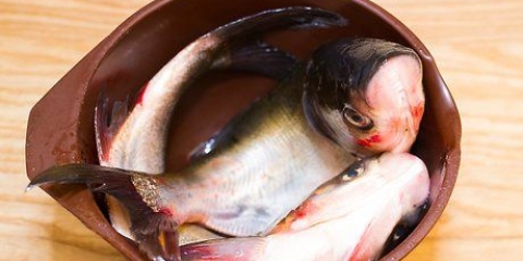 Prepara il pesce