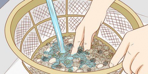 Mettere i pesci in un nuovo acquario