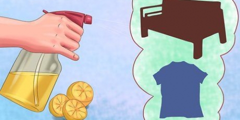 Prevenire i morsi delle pulci