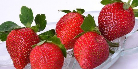 Conserve alimentari
