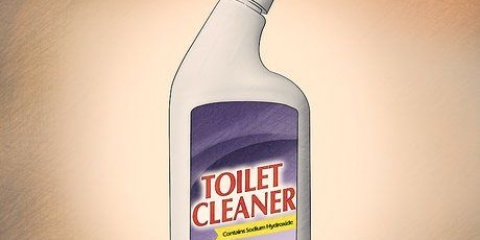 Pulizia delle fughe con detergente per wc