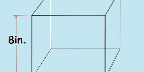 Prendersi cura delle lumache