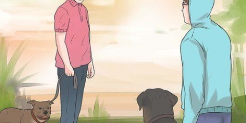 Impedire a un cane di abbaiare ad altri cani